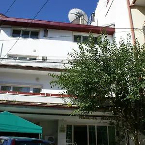 Pensiunea Helvetia 3*, Bucharest Romania