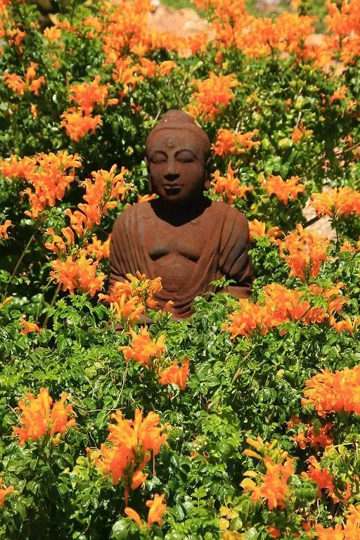 Apricot Gardens Guesthouse Gordons Bay